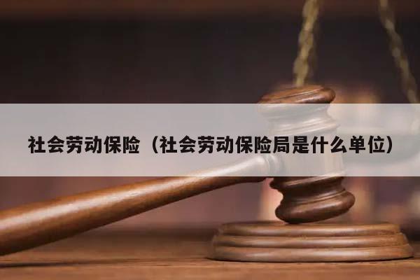 社会劳动保险（社会劳动保险局是什么单位）