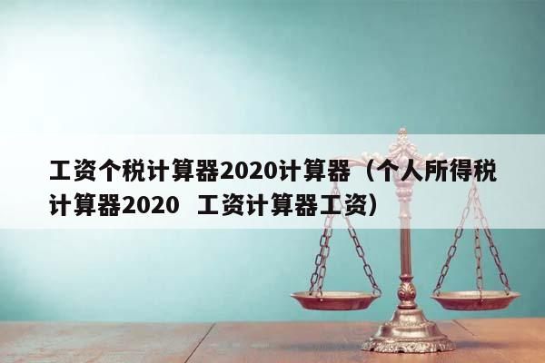 工资个税计算器2020计算器（个人所得税计算器2020  工资计算器工资）