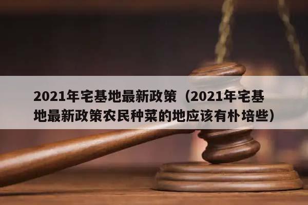 2021年宅基地最新政策（2021年宅基地最新政策农民种菜的地应该有朴培些）