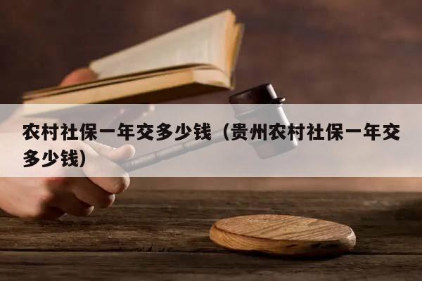 农村社保一年交多少钱（贵州农村社保一年交多少钱）