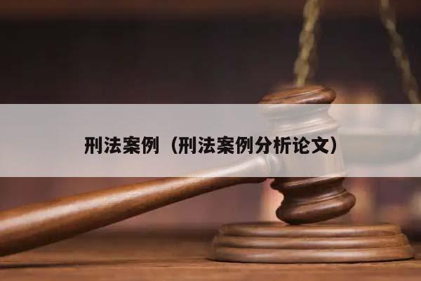 刑法案例（刑法案例分析论文）