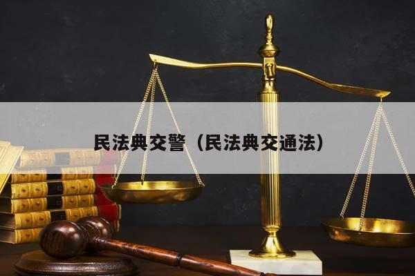 民法典交警（民法典交通法）