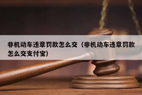 非机动车违章罚款怎么交（非机动车违章罚款怎么交支付宝）