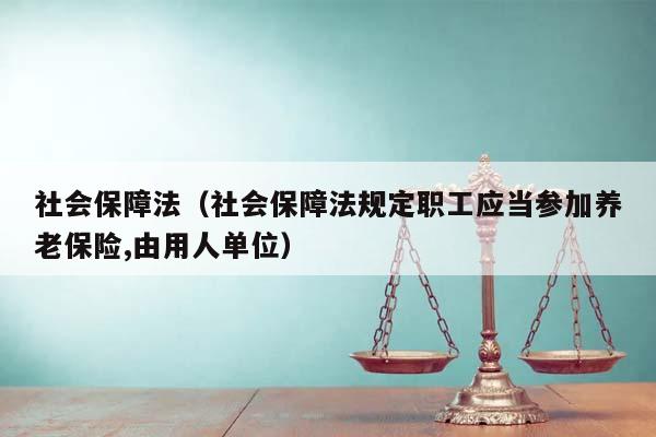 社会保障法（社会保障法规定职工应当参加养老保险,由用人单位）