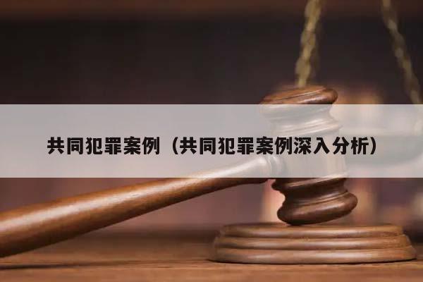 共同犯罪案例（共同犯罪案例深入分析）