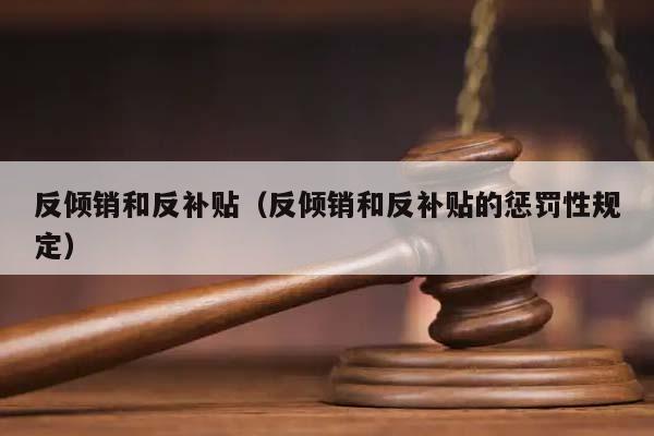 反倾销和反补贴（反倾销和反补贴的惩罚性规定）