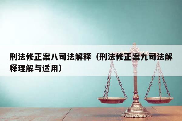 刑法修正案八司法解释（刑法修正案九司法解释理解与适用）