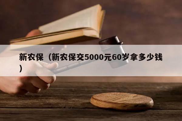 新农保（新农保交5000元60岁拿多少钱）