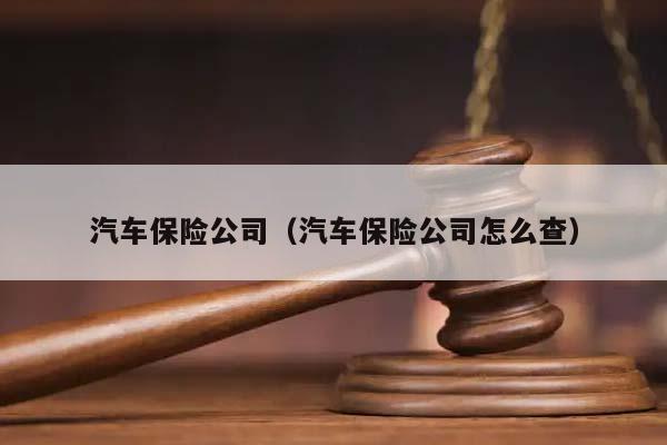 汽车保险公司（汽车保险公司怎么查）