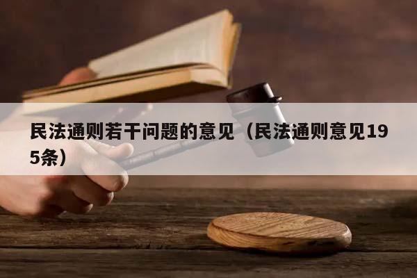 民法通则若干问题的意见（民法通则意见195条）