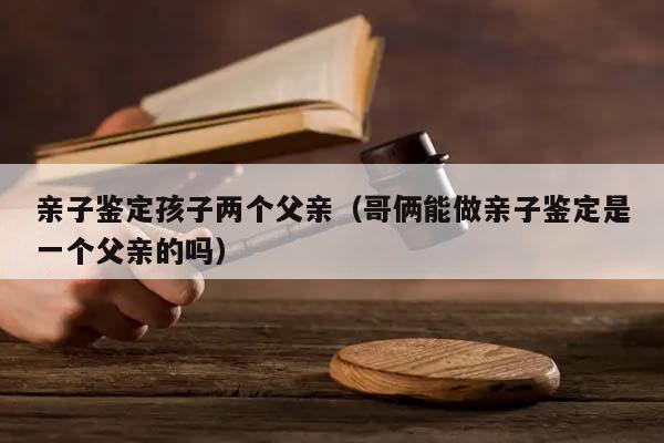 亲子鉴定孩子两个父亲（哥俩能做亲子鉴定是一个父亲的吗）