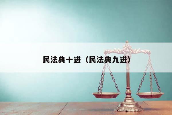 民法典十进（民法典九进）