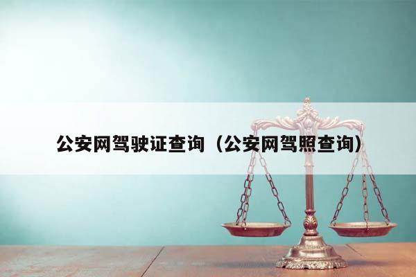 公安网驾驶证查询（公安网驾照查询）