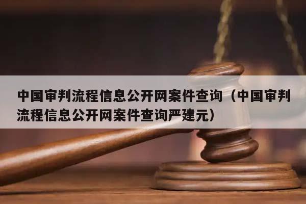 中国审判流程信息公开网案件查询（中国审判流程信息公开网案件查询严建元）