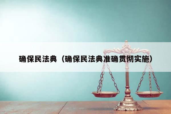 确保民法典（确保民法典准确贯彻实施）