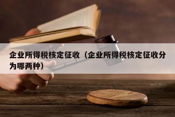 企业所得税核定征收（企业所得税核定征收分为哪两种）