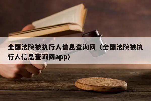 全国法院被执行人信息查询网（全国法院被执行人信息查询网app）