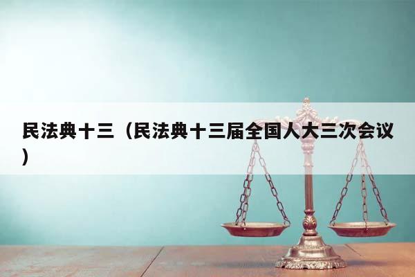 民法典十三（民法典十三届全国人大三次会议）