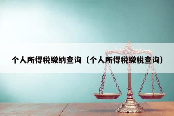个人所得税缴纳查询（个人所得税缴税查询）
