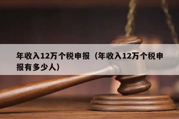 年收入12万个税申报（年收入12万个税申报有多少人）