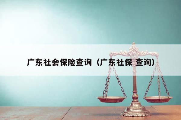 广东社会保险查询（广东社保 查询）