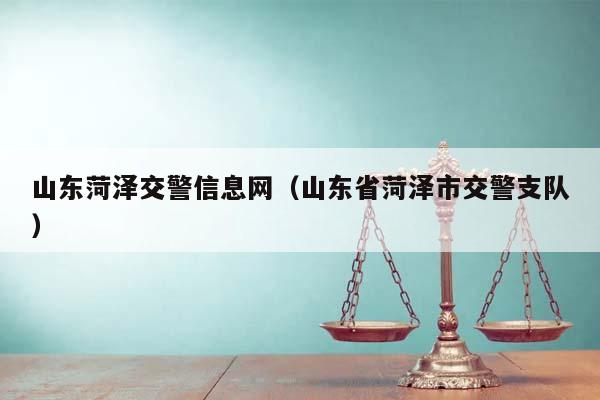 山东菏泽交警信息网（山东省菏泽市交警支队）