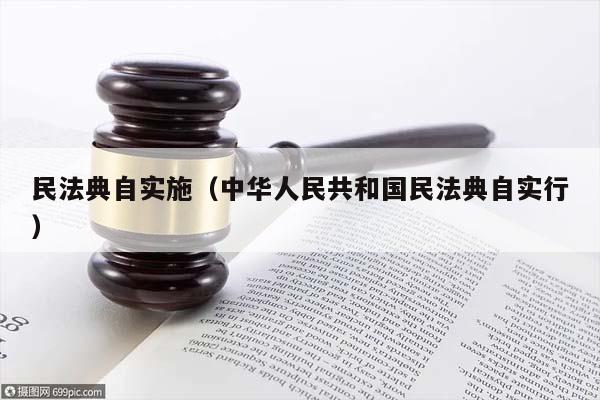 民法典自实施（中华人民共和国民法典自实行）