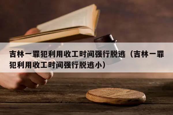 吉林一罪犯利用收工时间强行脱逃（吉林一罪犯利用收工时间强行脱逃小）