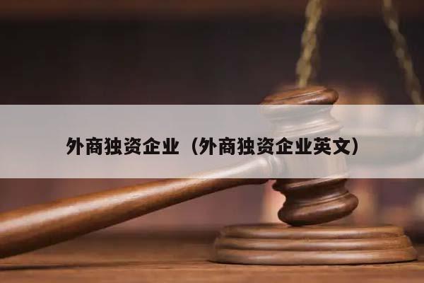 外商独资企业（外商独资企业英文）