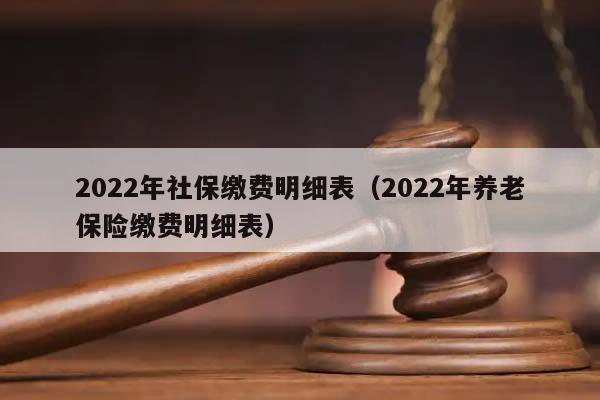 2022年社保缴费明细表（2022年养老保险缴费明细表）