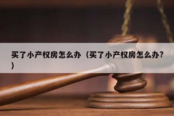 买了小产权房怎么办（买了小产权房怎么办?）