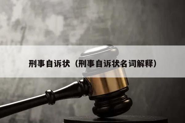 刑事自诉状（刑事自诉状名词解释）