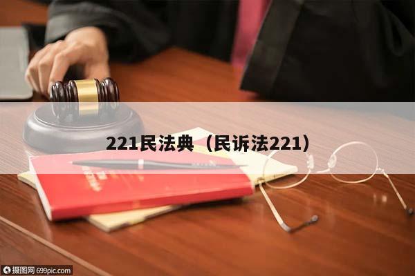 221民法典（民诉法221）