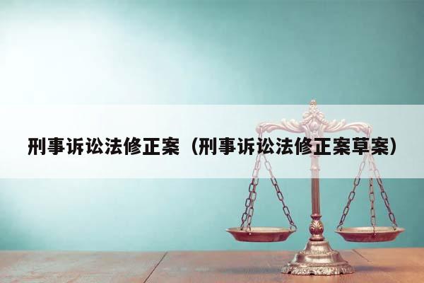 刑事诉讼法修正案（刑事诉讼法修正案草案）