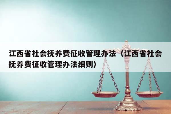 江西省社会抚养费征收管理办法（江西省社会抚养费征收管理办法细则）