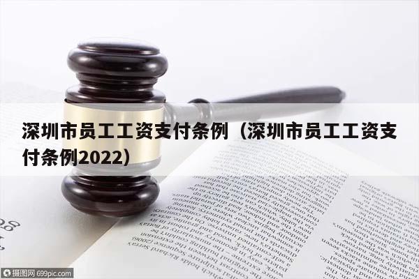 深圳市员工工资支付条例（深圳市员工工资支付条例2022）