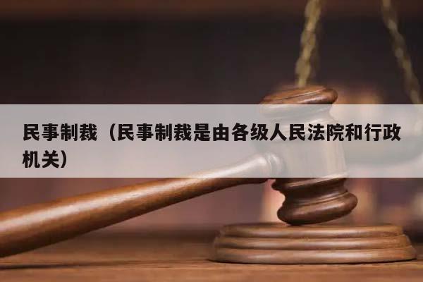 民事制裁（民事制裁是由各级人民法院和行政机关）