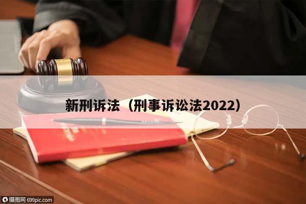 新刑诉法（刑事诉讼法2022）
