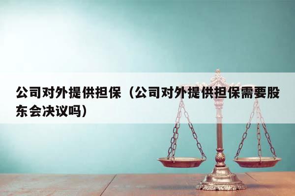 公司对外提供担保（公司对外提供担保需要股东会决议吗）