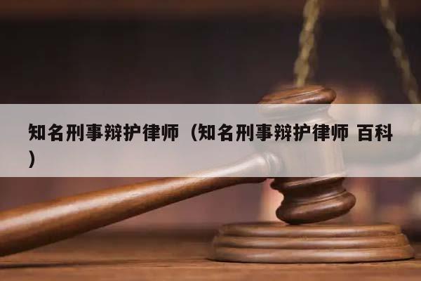 知名刑事辩护律师（知名刑事辩护律师 百科）