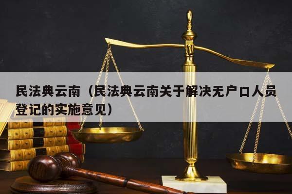 民法典云南（民法典云南关于解决无户口人员登记的实施意见）