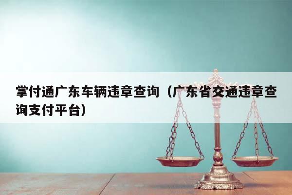 掌付通广东车辆违章查询（广东省交通违章查询支付平台）