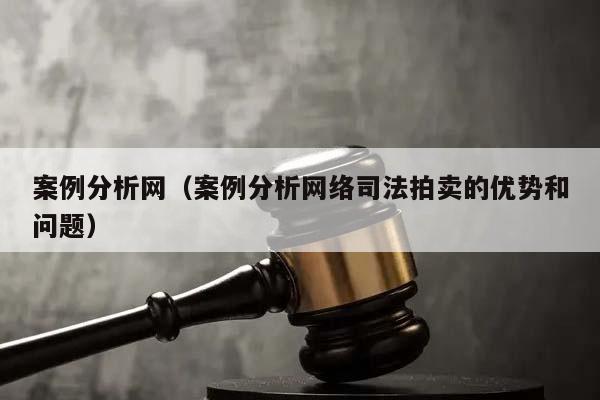 案例分析网（案例分析网络司法拍卖的优势和问题）