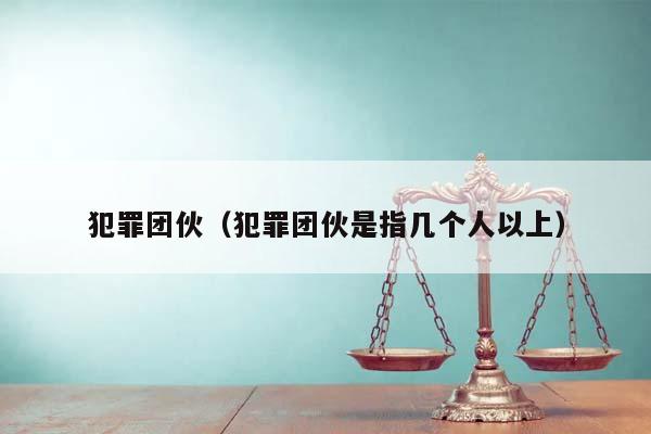 犯罪团伙（犯罪团伙是指几个人以上）