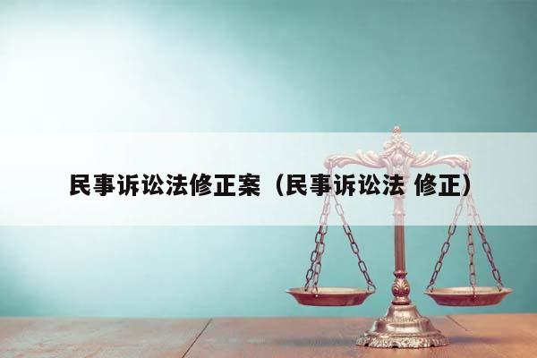 民事诉讼法修正案（民事诉讼法 修正）