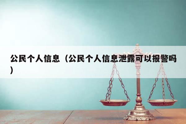 公民个人信息（公民个人信息泄露可以报警吗）