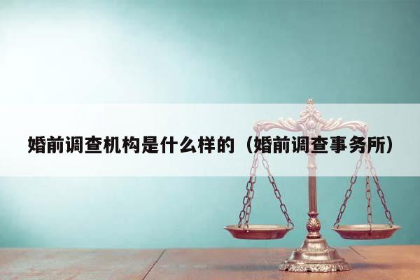 婚前调查机构是什么样的（婚前调查事务所）