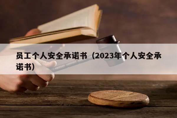 员工个人安全承诺书（2023年个人安全承诺书）