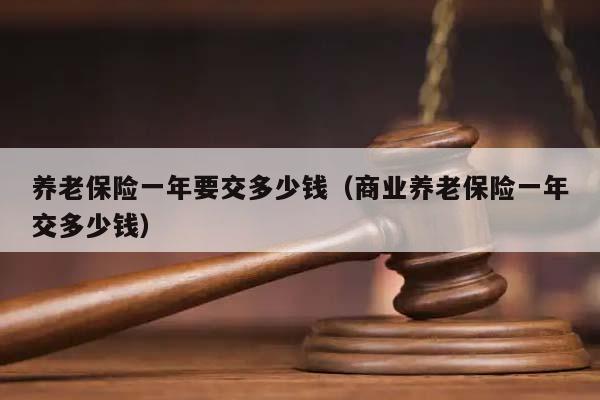 养老保险一年要交多少钱（商业养老保险一年交多少钱）