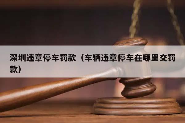 深圳违章停车罚款（车辆违章停车在哪里交罚款）